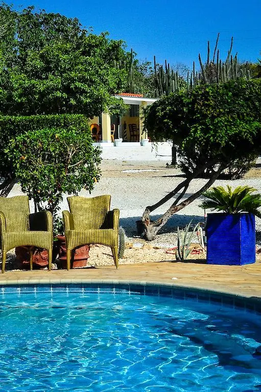 Paradise Villas & Apartments Ораньестад