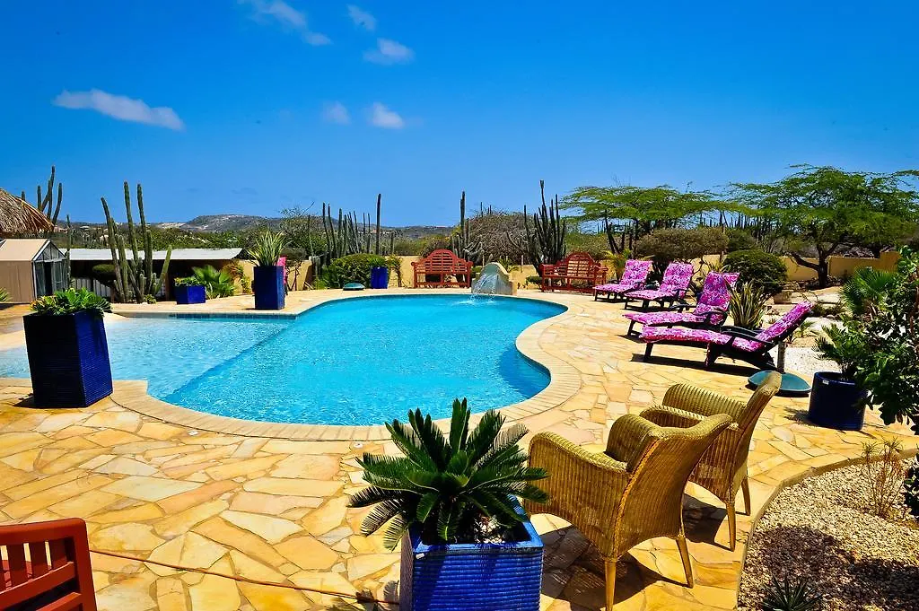 Paradise Villas & Apartments 오란제스타트 0*,